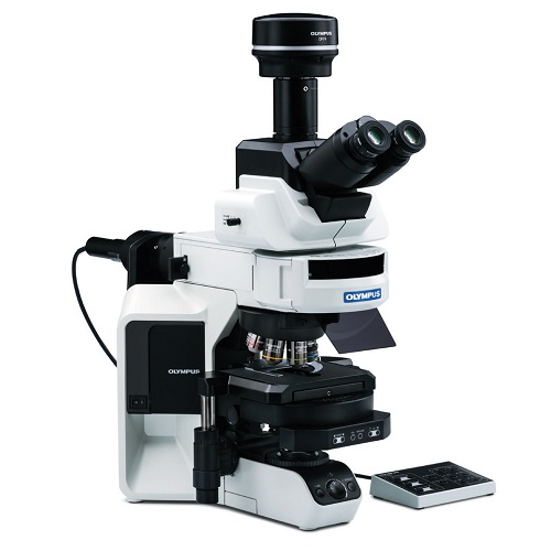 システム生物顕微鏡　BXシリーズのイメージ